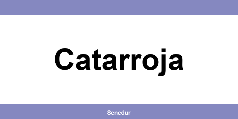 Teléfono directo de la oficina SEUR en Catarroja