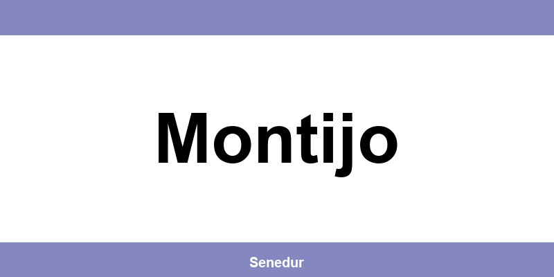 Teléfono directo de la oficina SEUR en Montijo