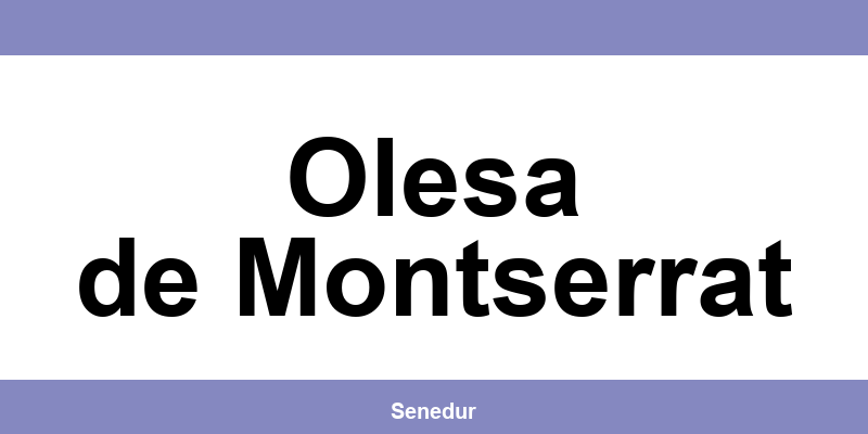 Teléfono directo de la oficina SEUR en Olesa de Montserrat