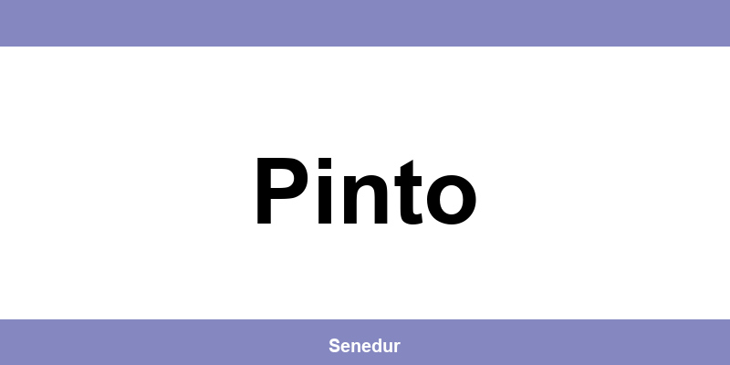 Teléfono directo de la oficina SEUR en Pinto
