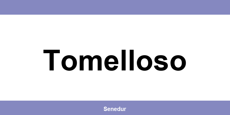 Teléfono directo de la oficina SEUR en Tomelloso
