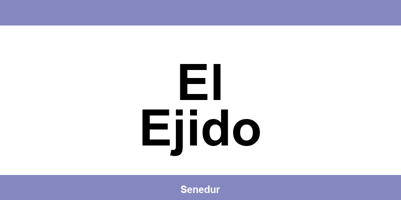 Teléfono directo de la oficina SEUR en El Ejido