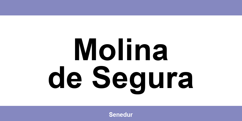 Teléfono directo de la oficina SEUR en Molina de Segura