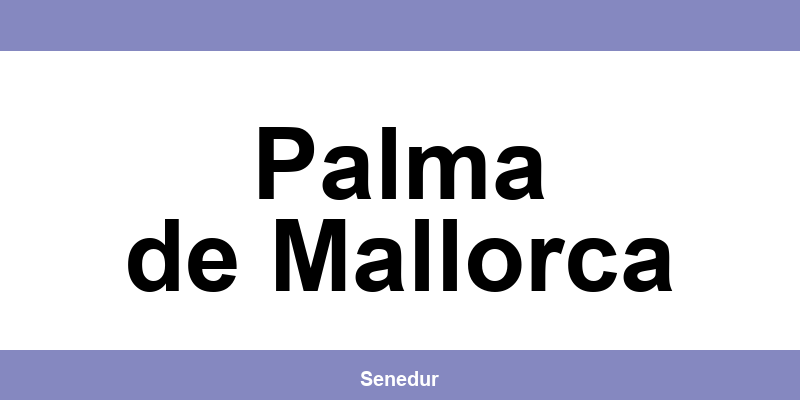 Teléfono directo de la oficina SEUR en Palma de Mallorca