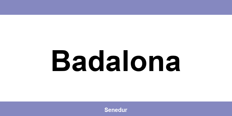 Teléfono directo de la oficina SEUR en Badalona